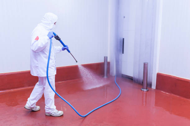 Best Solar Panel Cleaning  in South Taft, CA