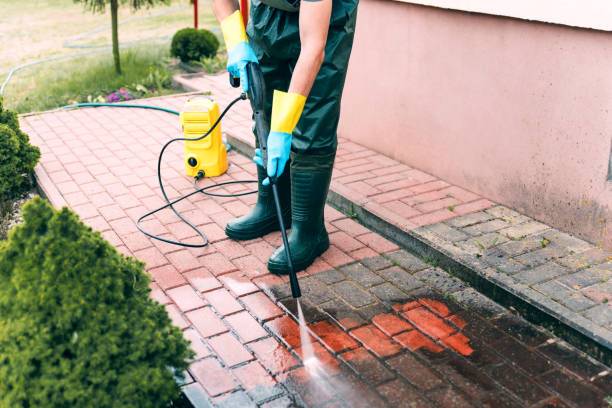 Best Roof Washing  in South Taft, CA